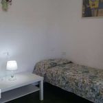 Affitto 3 camera appartamento di 50 m² in Grosseto