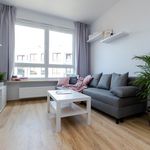Wynajmij 1 sypialnię apartament z 22 m² w Warszawa