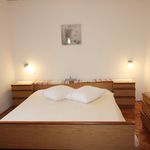 Najam 3 spavaće sobe stan od 100 m² u Ližnjan