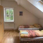 Rent 1 bedroom apartment of 100 m² in Velemín