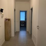 Rent 3 bedroom apartment of 130 m² in Calcinato