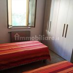 Rent 3 bedroom apartment of 60 m² in Senigallia