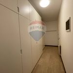 Affitto 4 camera appartamento di 100 m² in Padova