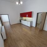 Rent 1 bedroom apartment of 53 m² in Úpice