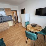 Rent 1 bedroom apartment of 38 m² in Pardubice