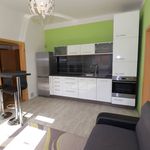 Rent 2 bedroom apartment of 38 m² in Chrudim