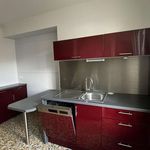 Rent 3 bedroom apartment of 73 m² in Tours