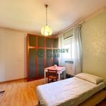 Affitto 1 camera appartamento di 25 m² in Torino