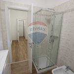 Rent 2 bedroom apartment of 55 m² in Cremona