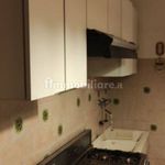 Rent 4 bedroom apartment of 112 m² in Cremona
