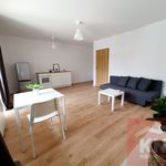 Rent 1 bedroom apartment of 36 m² in Bełchatów