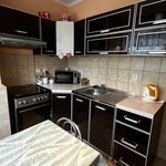 Rent 3 bedroom apartment of 66 m² in Ledvice