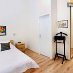 Rent 1 bedroom apartment of 60 m² in Lyon