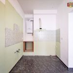 Rent 2 bedroom apartment of 42 m² in Pottendorf