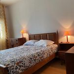 Rent 3 bedroom apartment in Braga