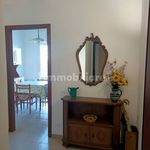 Rent 3 bedroom apartment of 88 m² in Falconara Marittima