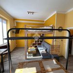 Affitto 1 camera appartamento di 42 m² in Novara