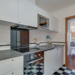 Rent 3 bedroom apartment of 90 m² in Funchal