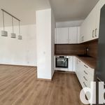 Rent 1 bedroom apartment of 50 m² in Nejdek