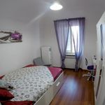 Rent 6 bedroom apartment in Firenze