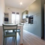 Rent 1 bedroom apartment in Tonezza del Cimone