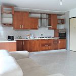 Affitto 5 camera appartamento di 150 m² in Caserta