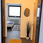 Rent 1 bedroom apartment of 59 m² in Bremen