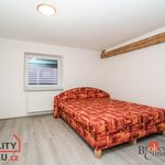 Rent 2 bedroom apartment of 60 m² in Žďár nad Sázavou