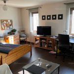 Rent 1 bedroom apartment of 40 m² in Pécs