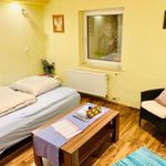 Miete 1 Schlafzimmer wohnung von 30 m² in Ludwigshafen am Rhein