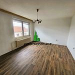 Rent 1 bedroom apartment of 95 m² in Kyjovice