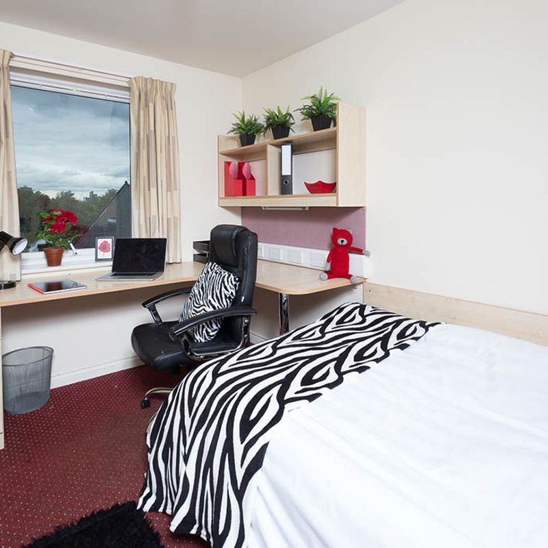 Book Q3 Apartments Student Accommodation In Manchester | Amber Brunswick
