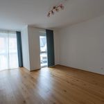 Rent 5 bedroom apartment of 173 m² in Gumpoldskirchen