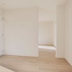 Rent 4 bedroom house in Sint-Niklaas