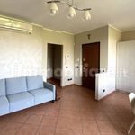 Rent 3 bedroom apartment of 77 m² in Milan
