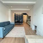 Rent 2 bedroom apartment of 60 m² in Milan