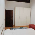 Rent 3 bedroom apartment of 78 m² in Firenze