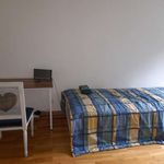 Rent a room of 50 m² in Berlin