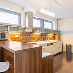 Rent 1 bedroom apartment of 351 m² in Jáchymov