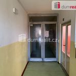 Rent 1 bedroom apartment of 42 m² in Usti Nad Labem