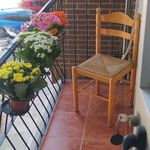 Rent a room of 75 m² in Vila-real