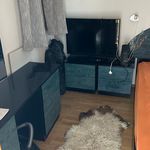 Rent 1 bedroom apartment of 49 m² in Murter