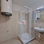 Rent 4 bedroom apartment of 50 m² in Olomouc