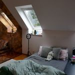 Rent 3 bedroom house of 144 m² in Wetteren