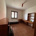Rent 3 bedroom apartment of 80 m² in Rende