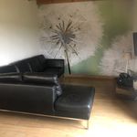Rent 1 bedroom house of 80 m² in Biezenmortel