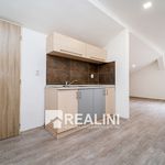 Rent 1 bedroom apartment of 60 m² in Třinec