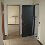 Affitto 3 camera appartamento di 75 m² in Modena