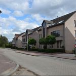 Rent 2 bedroom apartment of 75 m² in Tienen