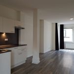 Rent a room of 39 m² in Venlo
